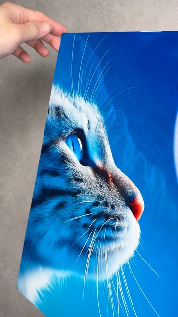 ユーザーの飾り方 4