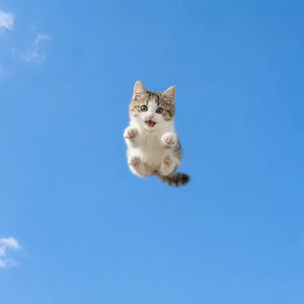 空飛ぶペット